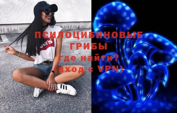 стафф Протвино