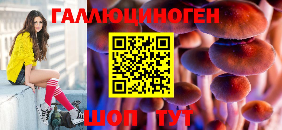 ГАШИШ Майский